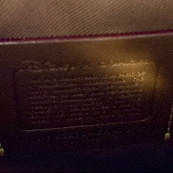 Disney X Coach Kitt Messenger Crossbody With Minnie Mouse Disney 100 Garden NWT - Picture 7 of 9